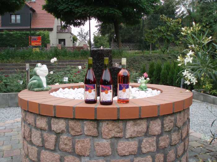 Blauer Bernburger Wein Jahrgang 2008